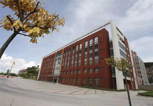 珠海金湾5所本科高校投档线公布，职业教育培训助力学子成才